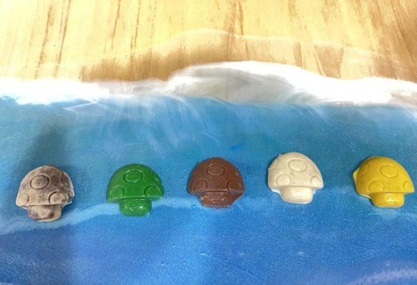 3.5G Magic Mushroom Chocolate Candy